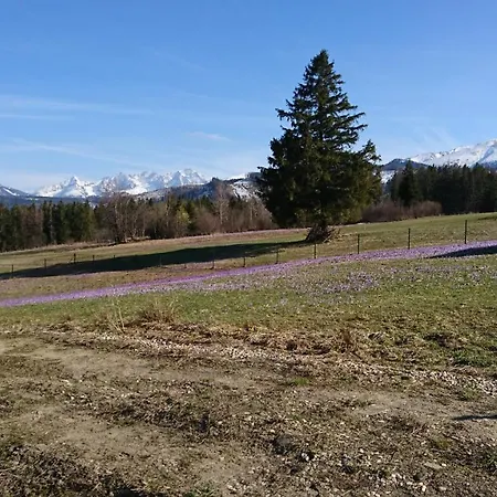 Chalet Skupniowy Uplaz